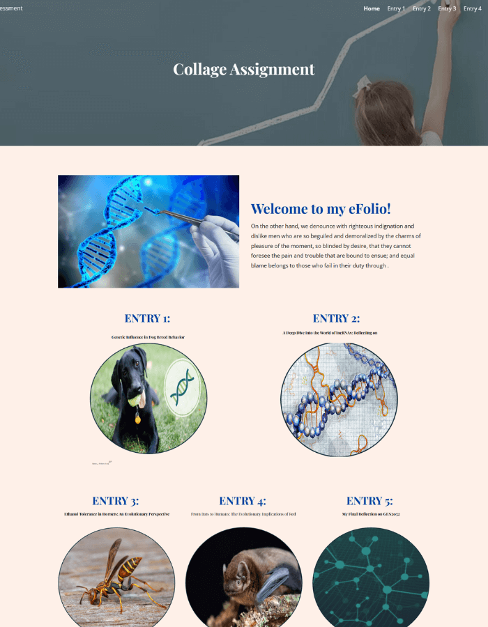 Professional College eFolio Template image